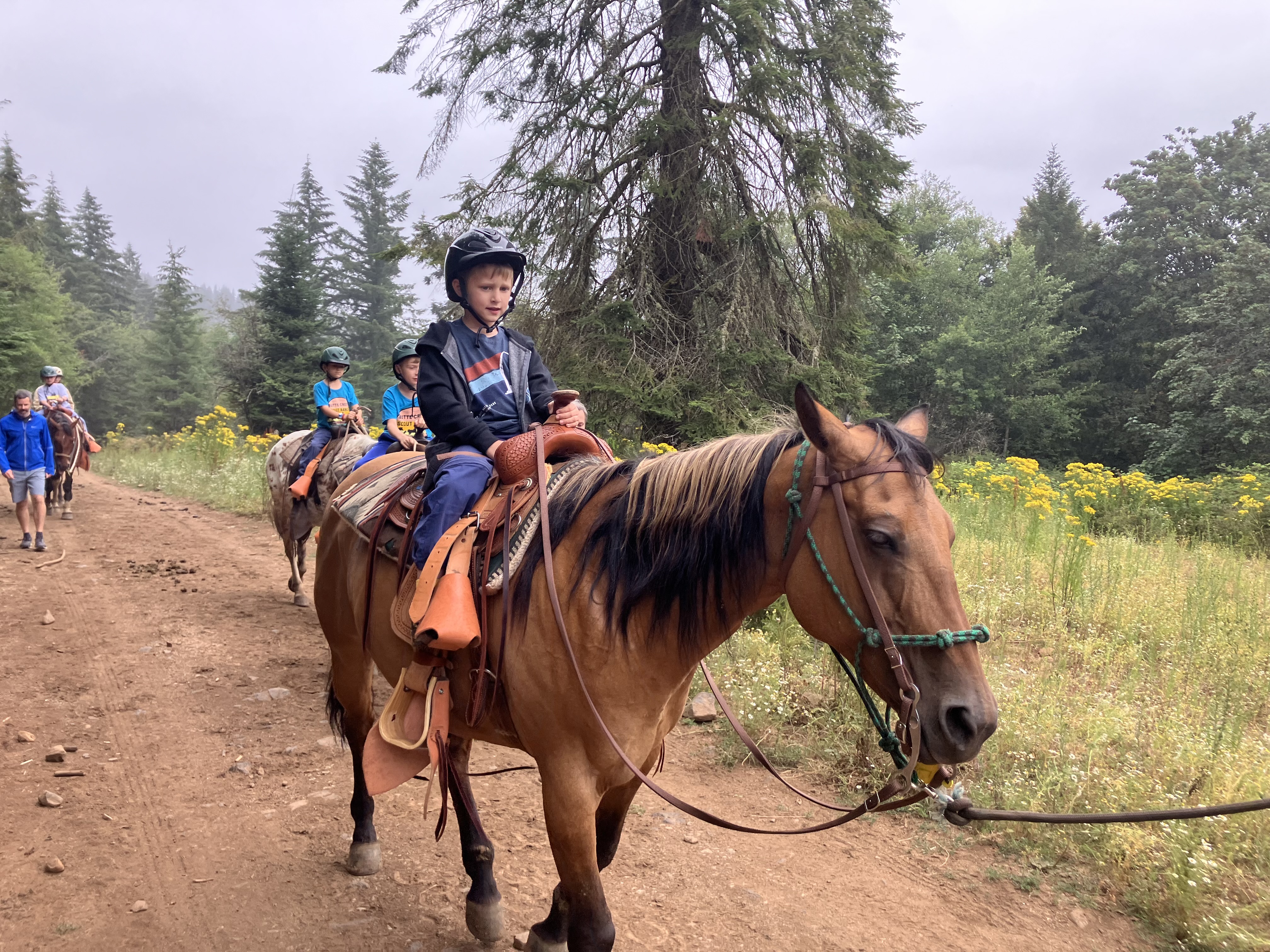Scouts on horseback