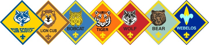 Scouts earning rank